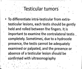 Benign Testicular Tumors - Surgical Aspect | PDF