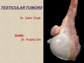 Dr. Saket Singh

Guide:
Dr. Prabha Om

 