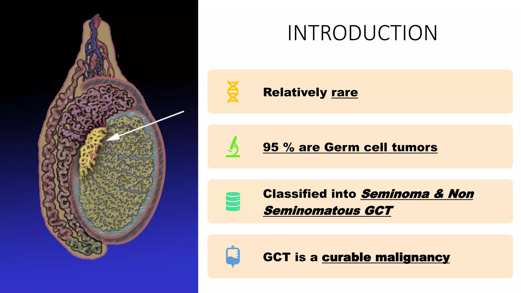 TESTICULAR TUMORS Etiopathogenesis, Features and Treatment | PPTX