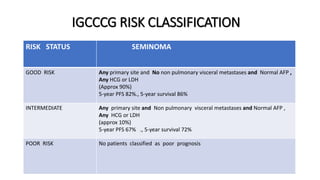 TESTICULAR TUMORS Etiopathogenesis, Features and Treatment | PPTX