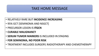 TESTICULAR TUMORS Etiopathogenesis, Features and Treatment | PPTX