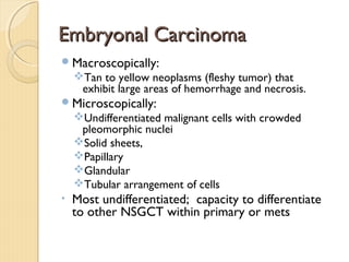 Embryonal CarcinomaEmbryonal Carcinoma
Macroscopically:
Tan to yellow neoplasms (fleshy tumor) that
exhibit large areas of hemorrhage and necrosis.
Microscopically:
Undifferentiated malignant cells with crowded
pleomorphic nuclei
Solid sheets,
Papillary
Glandular
Tubular arrangement of cells
• Most undifferentiated; capacity to differentiate
to other NSGCT within primary or mets
 