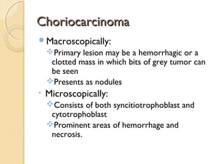ChoriocarcinomaChoriocarcinoma
Macroscopically:
Primary lesion may be a hemorrhagic or a
clotted mass in which bits of grey tumor can
be seen
Presents as nodules
• Microscopically:
Consists of both syncitiotrophoblast and
cytotrophoblast
Prominent areas of hemorrhage and
necrosis.
 