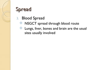 SpreadSpread
3. Blood Spread
 NSGCT spread through blood route
 Lungs, liver, bones and brain are the usual
sites usually involved
 