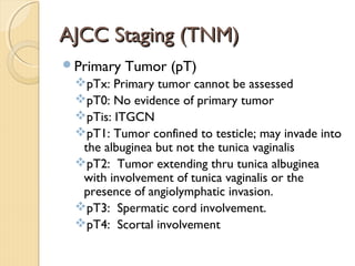 AJCC Staging (TNM)AJCC Staging (TNM)
Primary Tumor (pT)
pTx: Primary tumor cannot be assessed
pT0: No evidence of primary tumor
pTis: ITGCN
pT1: Tumor confined to testicle; may invade into
the albuginea but not the tunica vaginalis
pT2: Tumor extending thru tunica albuginea
with involvement of tunica vaginalis or the
presence of angiolymphatic invasion.
pT3: Spermatic cord involvement.
pT4: Scortal involvement
 
