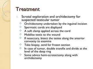 TreatmentTreatment
1. Scrotal exploration and orchidectomy for
suspected testicular tumor
 Orchidectomy undertaken by the inguinal incision
 Spermatic cords are displayed
 A soft clamp applied across the cord
 Mobilise testis to the wound
 If neseccary, bisect the testes along the anterior
convexity to examine
 Take biopsy, send for frozen section
 In case of tumor, double transfix and divide at the
level of the deep ring
 Some advice hemi-scrotectomy along with
orchidectomy
 