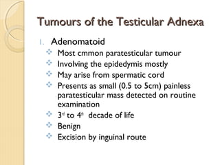 Tumours of the Testicular AdnexaTumours of the Testicular Adnexa
1. Adenomatoid
 Most cmmon paratesticular tumour
 Involving the epidedymis mostly
 May arise from spermatic cord
 Presents as small (0.5 to 5cm) painless
paratesticular mass detected on routine
examination
 3rd
to 4th
decade of life
 Benign
 Excision by inguinal route
 