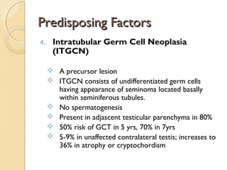 Predisposing FactorsPredisposing Factors
4. Intratubular Germ Cell Neoplasia
(ITGCN)
 A precursor lesion
 ITGCN consists of undifferentiated germ cells
having appearance of seminoma located basally
within seminiferous tubules.
 No spermatogenesis
 Present in adjascent testicular parenchyma in 80%
 50% risk of GCT in 5 yrs, 70% in 7yrs
 5-9% in unaffected contralateral testis; increases to
36% in atrophy or cryptochordism
 