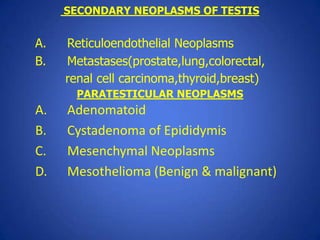 SECONDARY NEOPLASMS OF TESTIS


A.   Reticuloendothelial Neoplasms
B.   Metastases(prostate,lung,colorectal,
     renal ce...