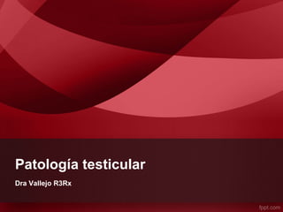 Patología testicular
Dra Vallejo R3Rx
 