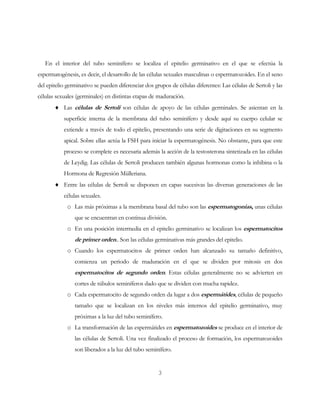 TESTICULO.pdf