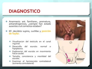DIAGNOSTICO
 Anamnesis: ant. familiares., prematuro,
antiandrogenicos, ¿siempre han estado
ausentes o al comienzo estaban?
 EF: decúbito supino, cuclillas y posición
deTaylor.
 Visualizacion del testiculo en el canal
inguinal.
 Desarrollo del escroto: normal o
hipoplasico.
 Exploracion del escroto en movimiento
hacia caudal.
 Tamaño, consistencia y movilidad del
escroto.
 Examinar el hemiescroto contralateral
(aumento contralateral)
 