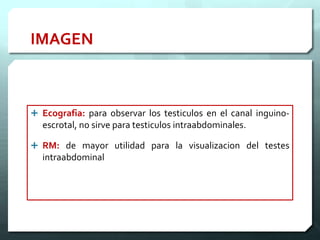 IMAGEN
 Ecografia: para observar los testiculos en el canal inguino-
escrotal, no sirve para testiculos intraabdominales.
 RM: de mayor utilidad para la visualizacion del testes
intraabdominal
 