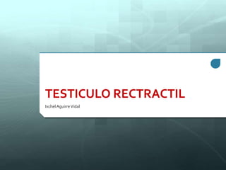 TESTICULO RECTRACTIL
Ixchel AguirreVidal
 