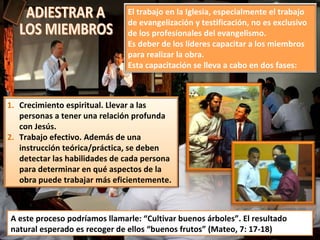 El trabajo en la Iglesia, especialmente el trabajo
                               de evangelización y testificación, no es exclusivo
                               de los profesionales del evangelismo.
                               Es deber de los líderes capacitar a los miembros
                               para realizar la obra.
                               Esta capacitación se lleva a cabo en dos fases:



1. Crecimiento espiritual. Llevar a las
   personas a tener una relación profunda
   con Jesús.
2. Trabajo efectivo. Además de una
   instrucción teórica/práctica, se deben
   detectar las habilidades de cada persona
   para determinar en qué aspectos de la
   obra puede trabajar más eficientemente.



A este proceso podríamos llamarle: “Cultivar buenos árboles”. El resultado
natural esperado es recoger de ellos “buenos frutos” (Mateo, 7: 17-18)
 
