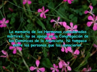 La memoria de las Hermanas consideradasLa memoria de las Hermanas consideradas
mártires, no se apagó en la Congregación demártires, no se apagó en la Congregación de
las Dominicas de la Anunciata. Ni tampocolas Dominicas de la Anunciata. Ni tampoco
entre las personas que las conocieron.entre las personas que las conocieron.
 