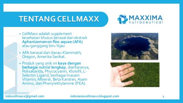 indocellmaxx@gmail.com
TENTANG CELLMAXX
• CellMaxx adalah supplement
kesehatan khusus berasal dari ekstrak
Aphanizomenon f...