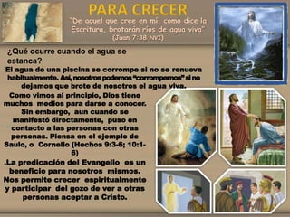 “De aquel que cree en mí, como dice la
Escritura, brotarán ríos de agua viva”
(Juan 7:38 NVI)
¿Qué ocurre cuando el agua se
estanca?
El agua de una piscina se corrompe si no se renueva
habitualmente. Así,nosotrospodemos“corrompernos”sino
dejamos que brote de nosotros el agua viva.
Como vimos al principio, Dios tiene
muchos medios para darse a conocer.
Sin embargo, aun cuando se
manifestó directamente, puso en
contacto a las personas con otras
personas. Piensa en el ejemplo de
Saulo, o Cornelio (Hechos 9:3-6; 10:1-
6)
.La predicación del Evangelio es un
beneficio para nosotros mismos.
Nos permite crecer espiritualmente
y participar del gozo de ver a otras
personas aceptar a Cristo.
 