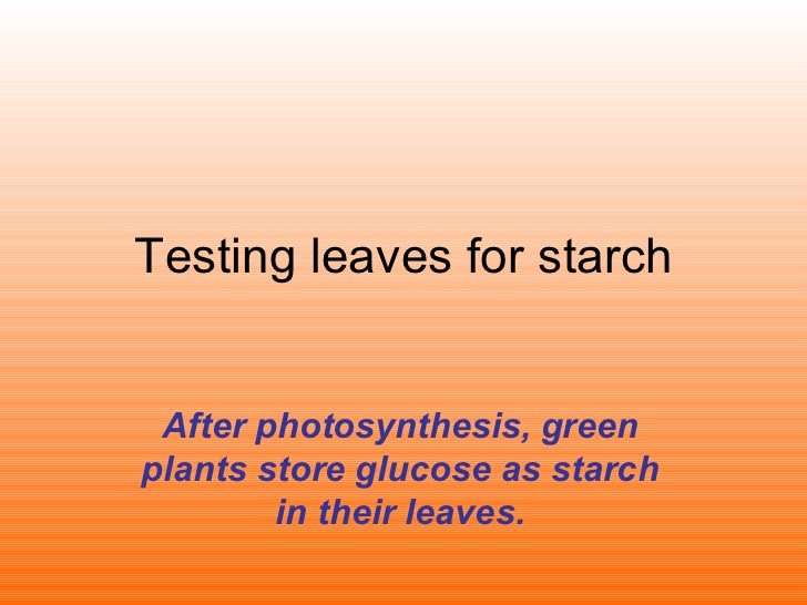 Testing A Leaf For Starch