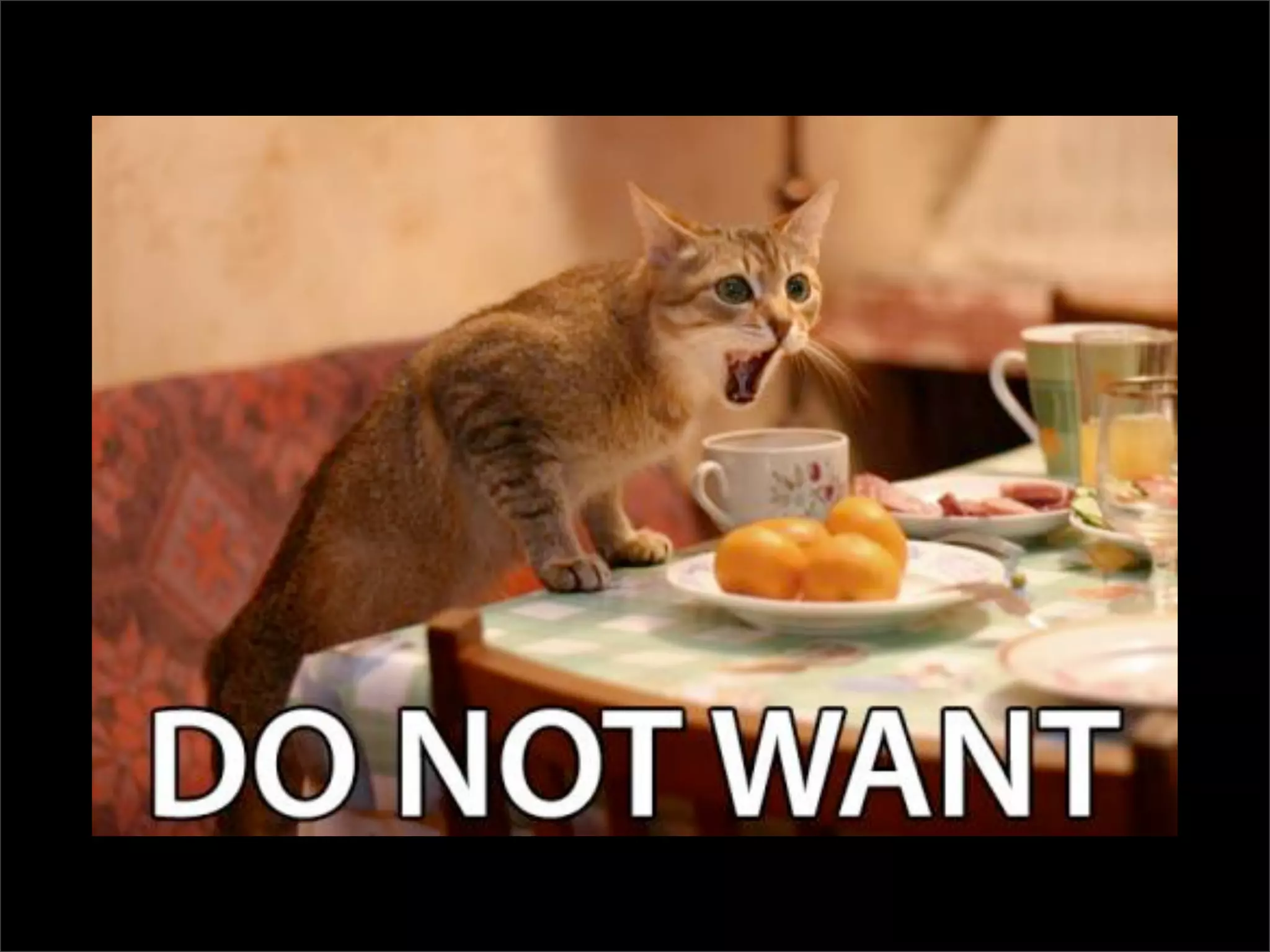 Testing Code and Assuring Quality