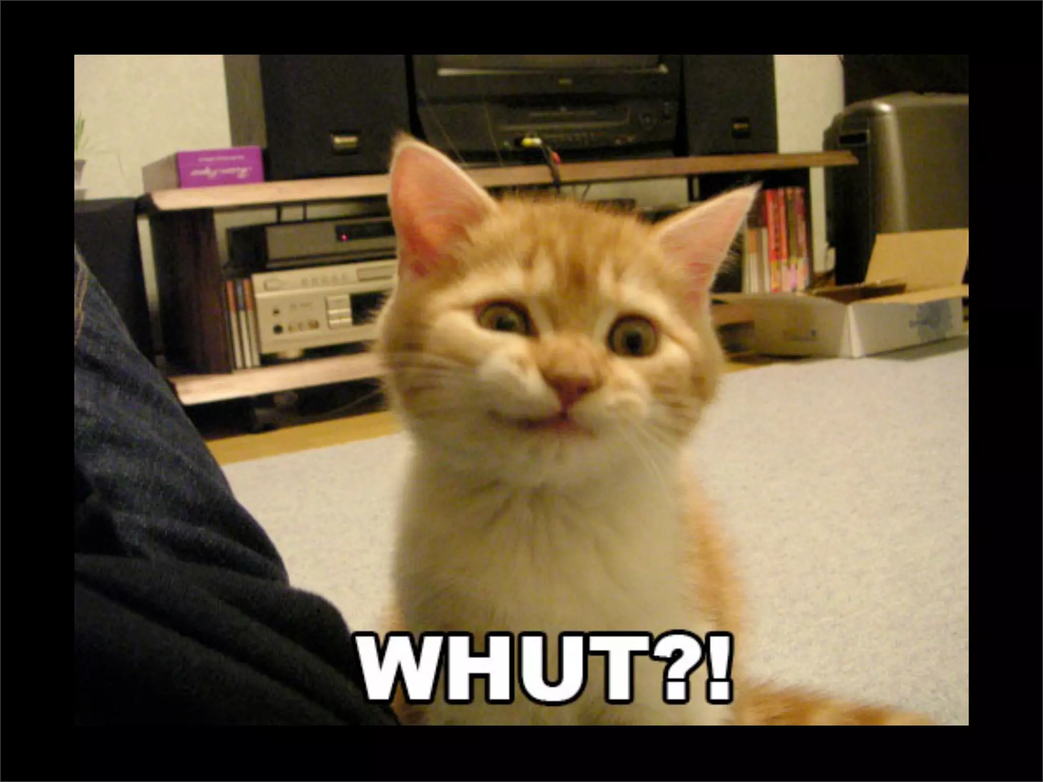 Testing Code and Assuring Quality