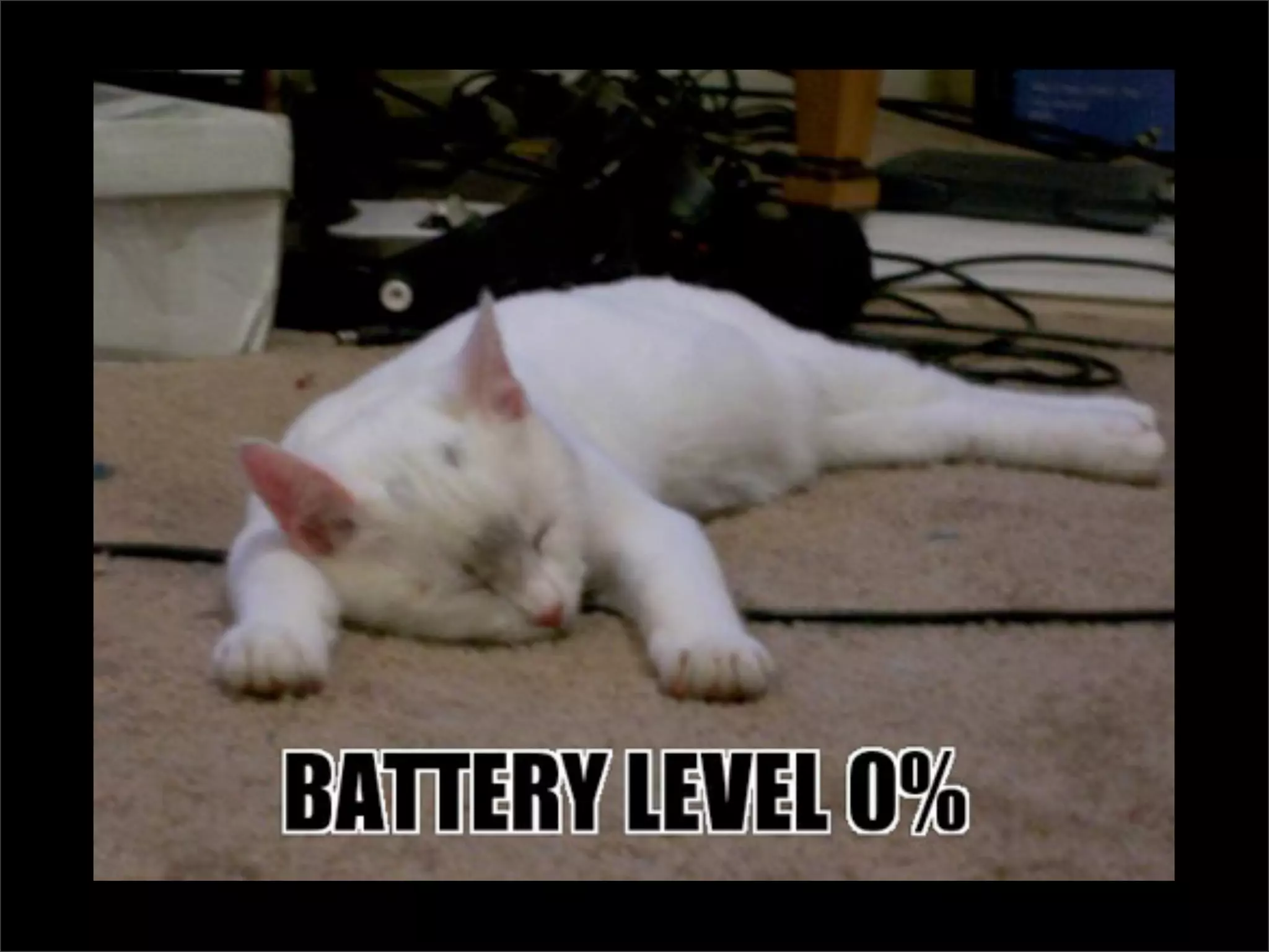 Testing Code and Assuring Quality