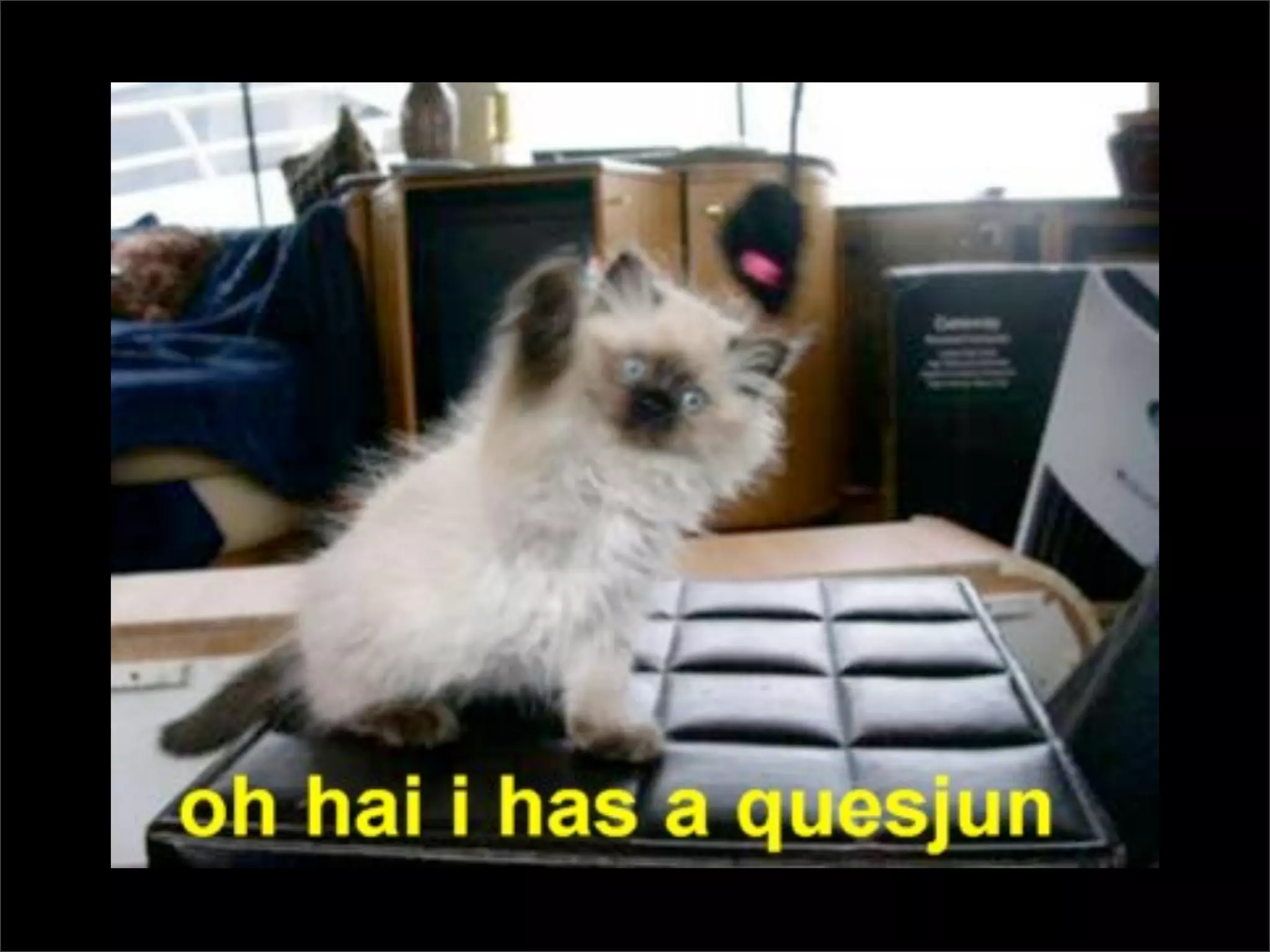 Testing Code and Assuring Quality