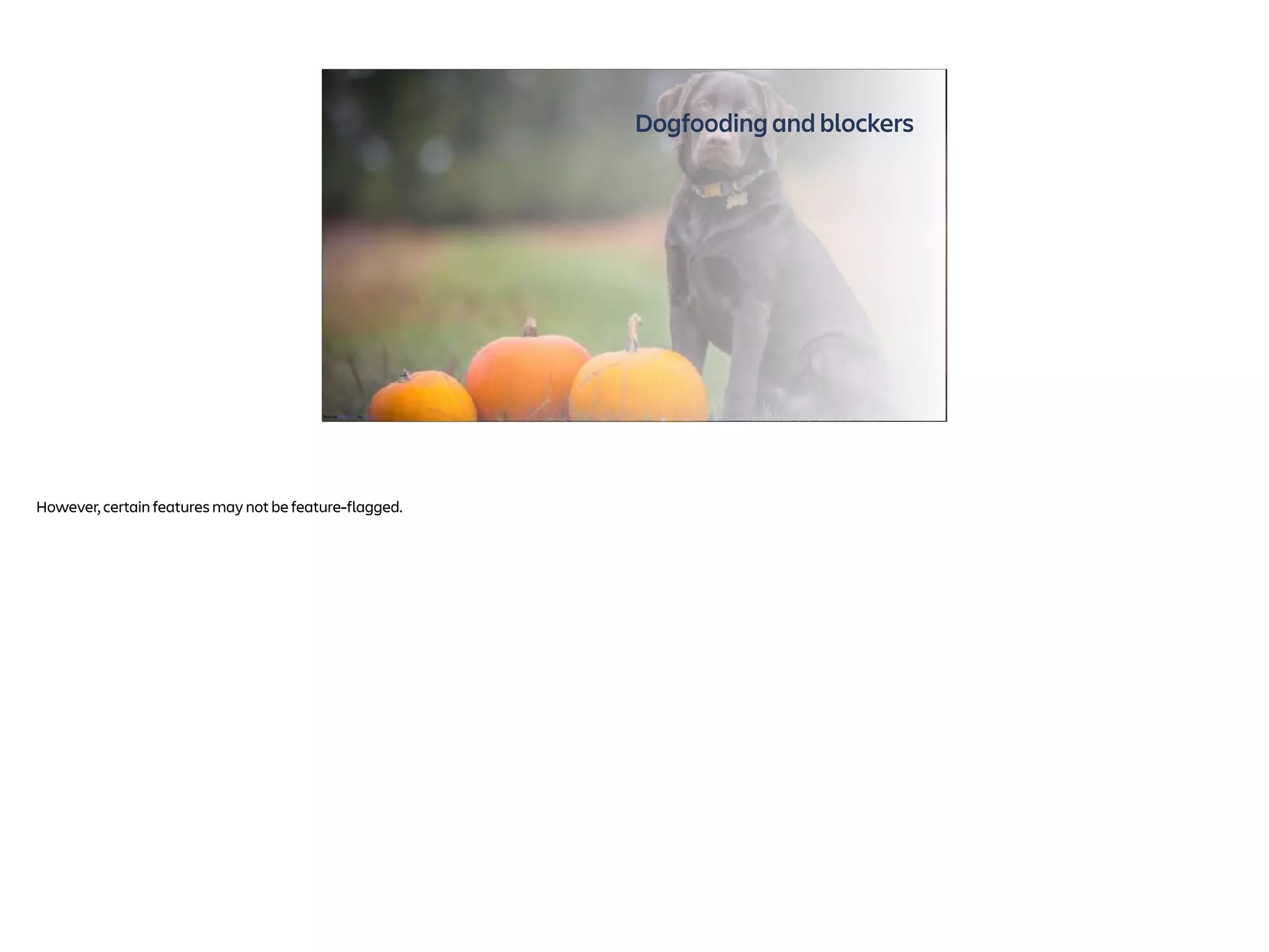 Dogfooding and blockers
Photo by Ben Hanson on Unsplash
However, certain features may not be feature-flagged.
 