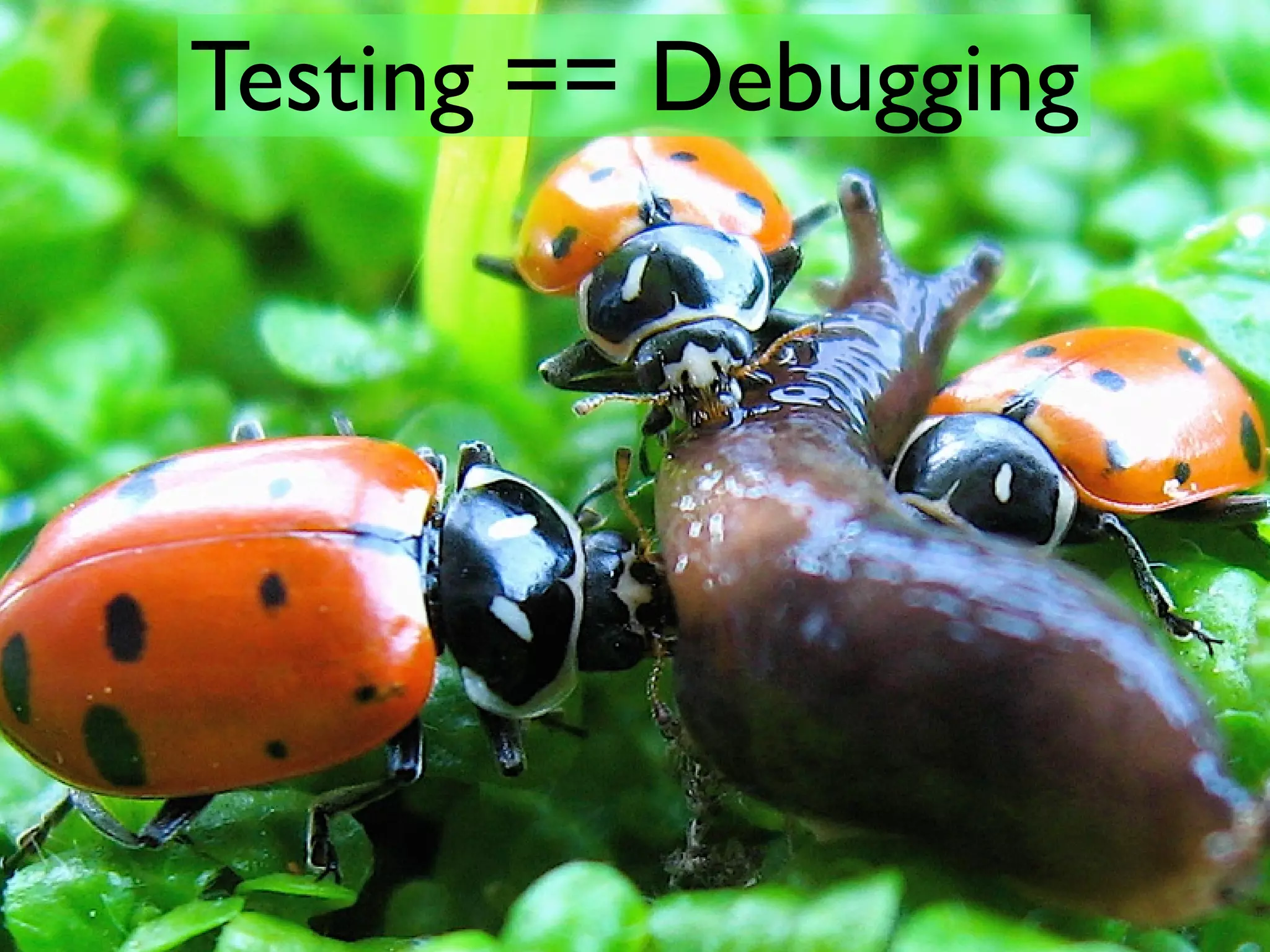 Testing Legacy Rails Apps