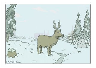 Testing Responsive Webdesign