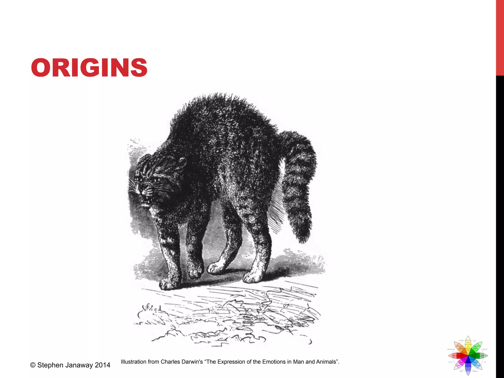 ORIGINS
Illustration from Charles Darwin's “The Expression of the Emotions in Man and Animals”.
© Stephen Janaway 2014
 