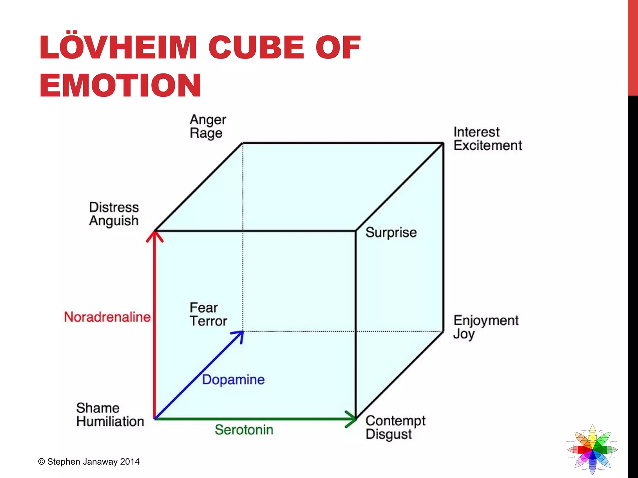 LÖVHEIM CUBE OF
EMOTION
© Stephen Janaway 2014
 