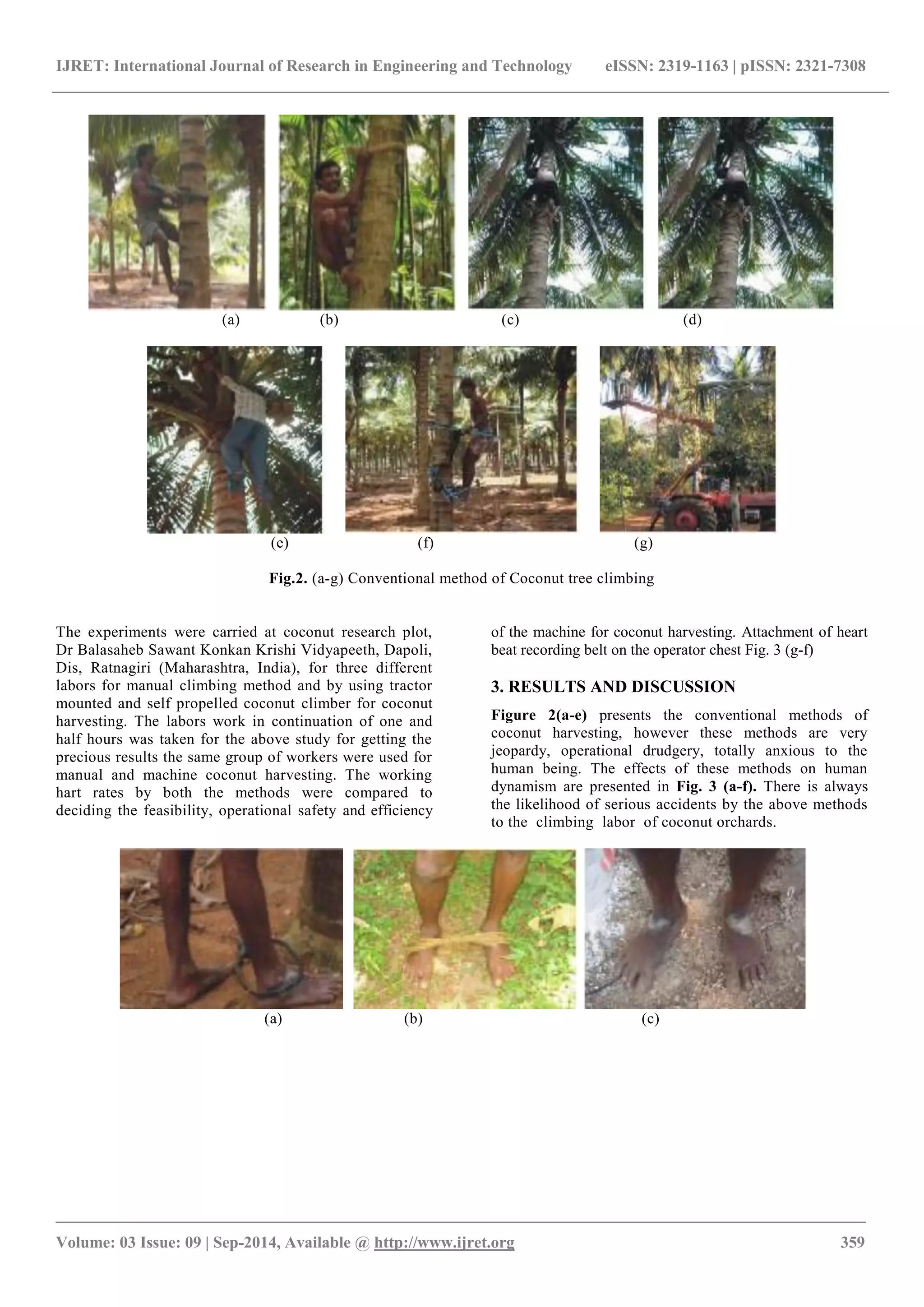 IJRET: International Journal of Research in Engineering and Technology eISSN: 2319-1163 | pISSN: 2321-7308 
_______________________________________________________________________________________ 
Volume: 03 Issue: 09 | Sep-2014, Available @ http://www.ijret.org 359 
(a) (b) (c) (d) 
(e) (f) (g) Fig.2. (a-g) Conventional method of Coconut tree climbing 
The experiments were carried at coconut research plot, Dr Balasaheb Sawant Konkan Krishi Vidyapeeth, Dapoli, Dis, Ratnagiri (Maharashtra, India), for three different labors for manual climbing method and by using tractor mounted and self propelled coconut climber for coconut harvesting. The labors work in continuation of one and half hours was taken for the above study for getting the precious results the same group of workers were used for manual and machine coconut harvesting. The working hart rates by both the methods were compared to deciding the feasibility, operational safety and efficiency of the machine for coconut harvesting. Attachment of heart beat recording belt on the operator chest Fig. 3 (g-f) 3. RESULTS AND DISCUSSION 
Figure 2(a-e) presents the conventional methods of coconut harvesting, however these methods are very jeopardy, operational drudgery, totally anxious to the human being. The effects of these methods on human dynamism are presented in Fig. 3 (a-f). There is always the likelihood of serious accidents by the above methods to the climbing labor of coconut orchards. 
(a) (b) (c)  