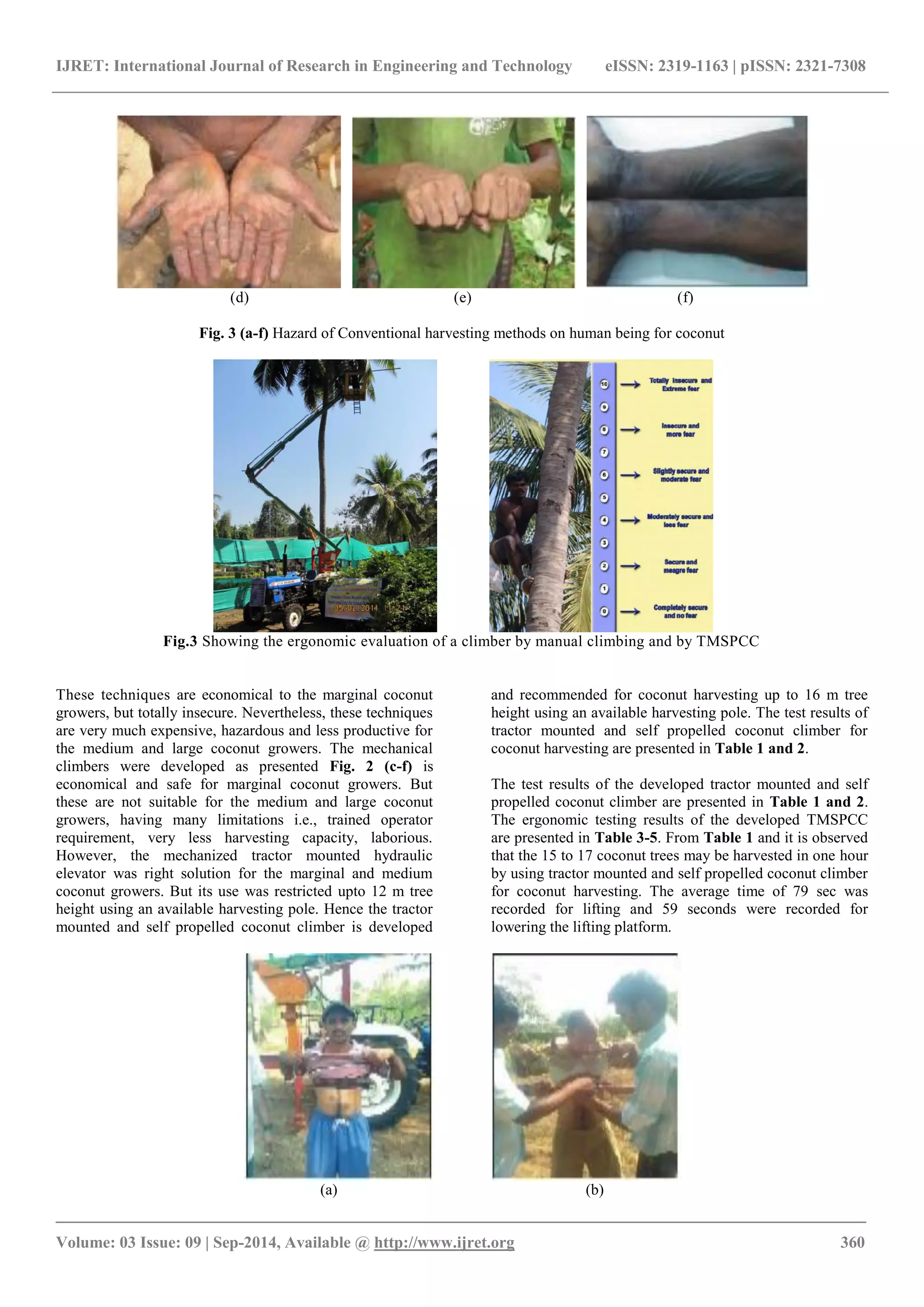 IJRET: International Journal of Research in Engineering and Technology eISSN: 2319-1163 | pISSN: 2321-7308 
_______________________________________________________________________________________ 
Volume: 03 Issue: 09 | Sep-2014, Available @ http://www.ijret.org 360 
(d) (e) (f) Fig. 3 (a-f) Hazard of Conventional harvesting methods on human being for coconut 
Fig.3 Showing the ergonomic evaluation of a climber by manual climbing and by TMSPCC 
These techniques are economical to the marginal coconut growers, but totally insecure. Nevertheless, these techniques are very much expensive, hazardous and less productive for the medium and large coconut growers. The mechanical climbers were developed as presented Fig. 2 (c-f) is economical and safe for marginal coconut growers. But these are not suitable for the medium and large coconut growers, having many limitations i.e., trained operator requirement, very less harvesting capacity, laborious. However, the mechanized tractor mounted hydraulic elevator was right solution for the marginal and medium coconut growers. But its use was restricted upto 12 m tree height using an available harvesting pole. Hence the tractor mounted and self propelled coconut climber is developed and recommended for coconut harvesting up to 16 m tree height using an available harvesting pole. The test results of tractor mounted and self propelled coconut climber for coconut harvesting are presented in Table 1 and 2. 
The test results of the developed tractor mounted and self propelled coconut climber are presented in Table 1 and 2. The ergonomic testing results of the developed TMSPCC are presented in Table 3-5. From Table 1 and it is observed that the 15 to 17 coconut trees may be harvested in one hour by using tractor mounted and self propelled coconut climber for coconut harvesting. The average time of 79 sec was recorded for lifting and 59 seconds were recorded for lowering the lifting platform. 
(a) (b)  
