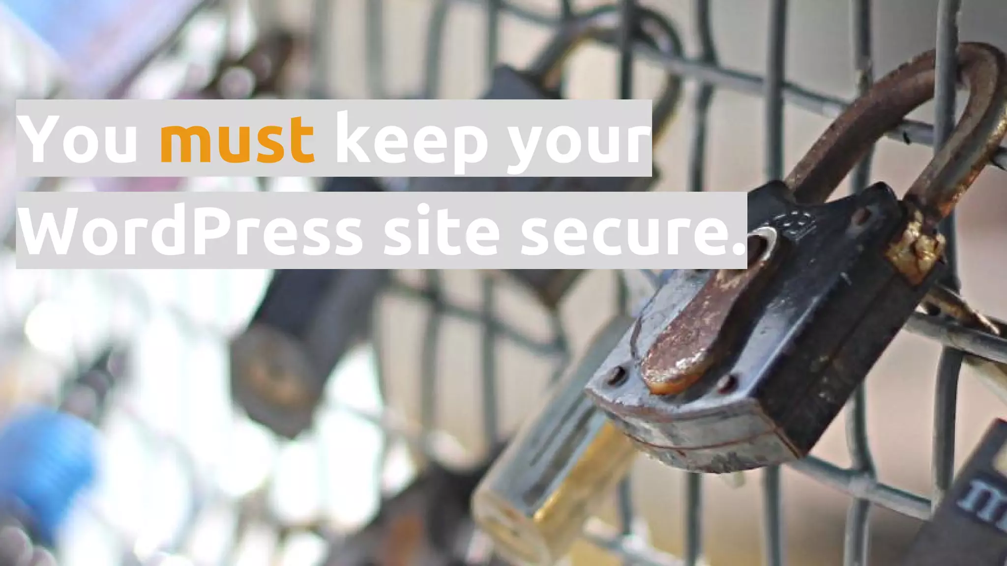 You must keep your WordPress site secure. 