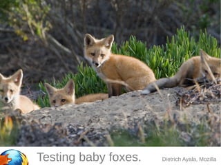 Testing baby foxes. Dietrich Ayala, Mozilla
 