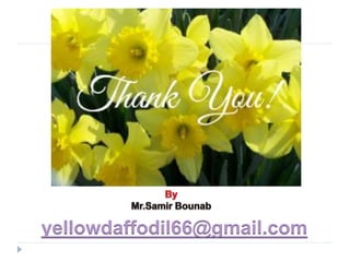 yellowdaffodil66@gmail.com
 