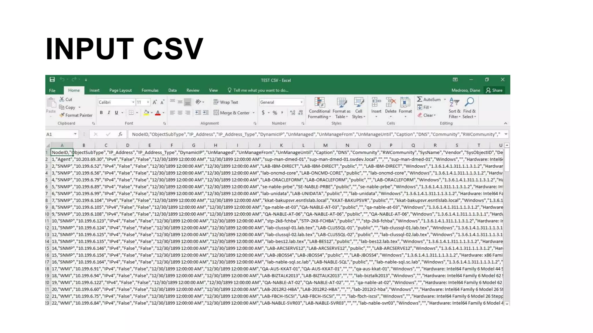INPUT CSV
 