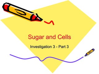 Sugar and Cells
Investigation 3 - Part 3
 