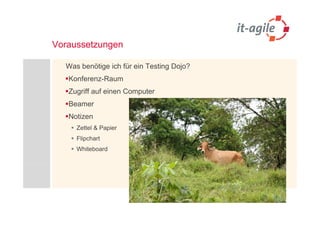 Voraussetzungen

  Was benötige ich für ein Testing Dojo?
   Konferenz-Raum
   Zugriff auf einen Computer
   Beamer
   Notizen
     Zettel & Papier
     Flipchart
     Whiteboard
 