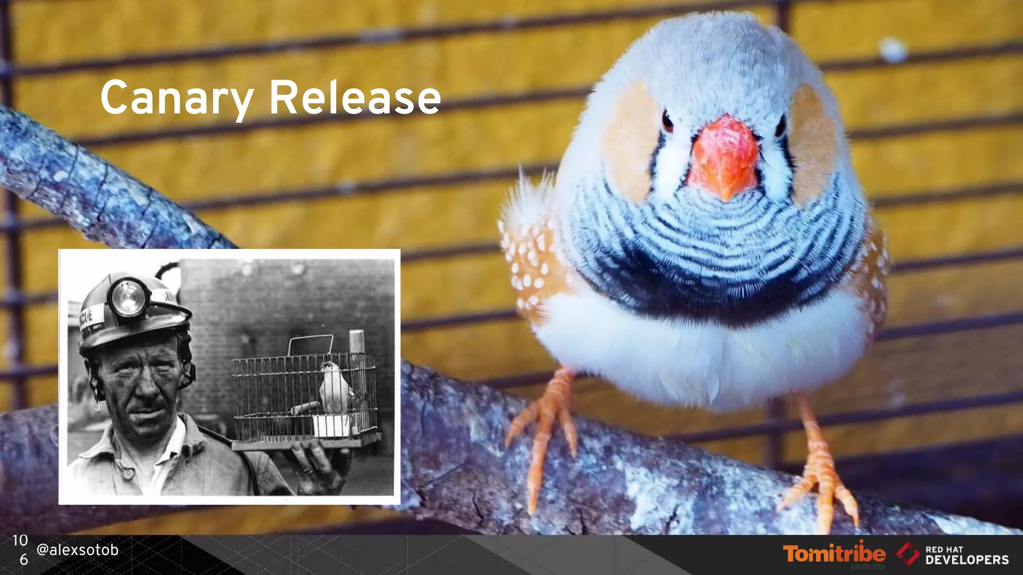 @alexsotob
10
6
Canary Release
 