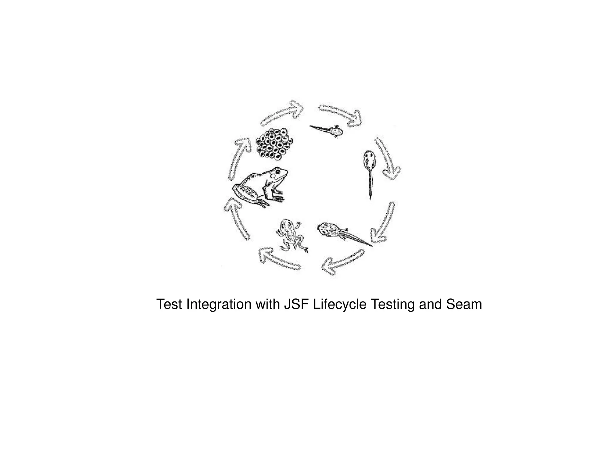 Test Integration with JSF Lifecycle Testing and Seam 