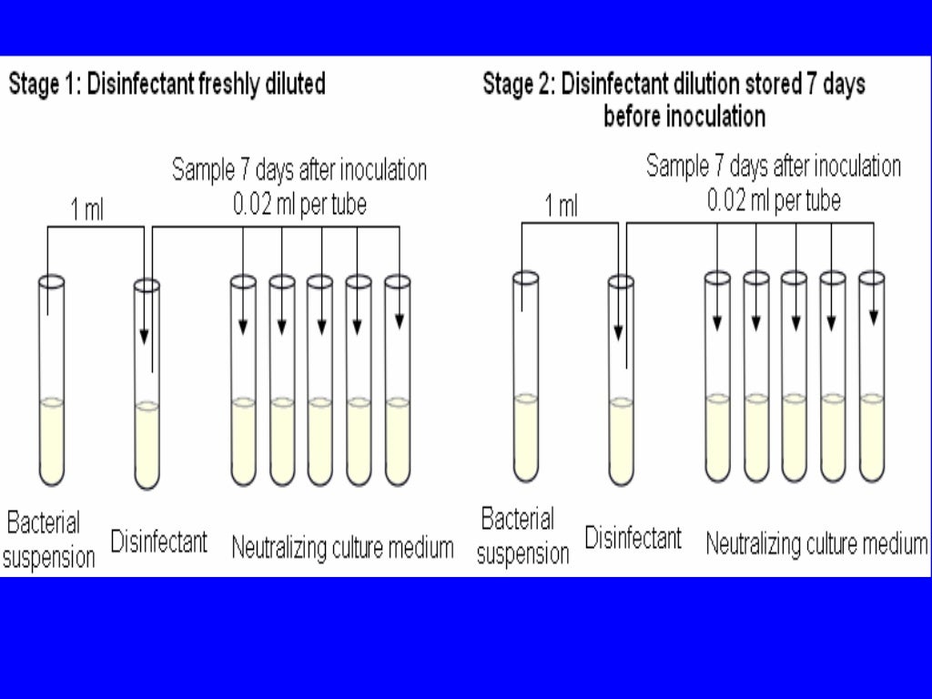 Testing of disinfectants