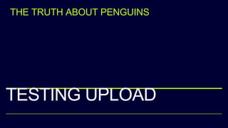 TESTING UPLOAD
THE TRUTH ABOUT PENGUINS
 