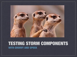 TESTING STORM COMPONENTS
WITH GROOVY AND SPOCK

 