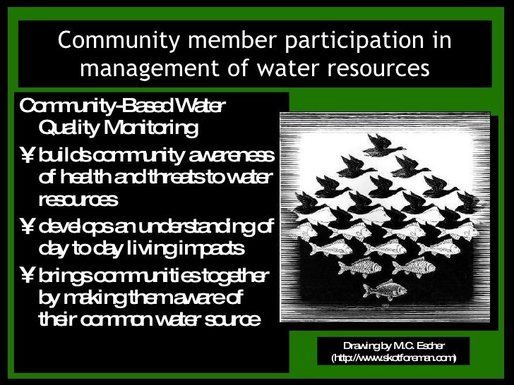 Testing The Waters A Water Quality