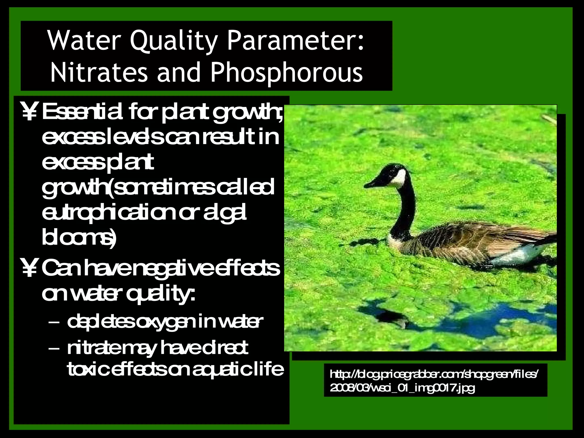 Essential for plant growth; excess levels can result in excess plant growth(sometimes called eutrophication or algal blooms) Can have negative effects on water quality: depletes oxygen in water nitrate may have direct toxic effects on aquatic life Water Quality Parameter: Nitrates and Phosphorous http://blog.pricegrabber.com/shopgreen/files/2008/03/wsci_01_img0017.jpg 