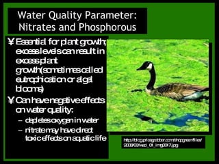 Essential for plant growth; excess levels can result in excess plant growth(sometimes called eutrophication or algal blooms) Can have negative effects on water quality: depletes oxygen in water nitrate may have direct toxic effects on aquatic life Water Quality Parameter: Nitrates and Phosphorous http://blog.pricegrabber.com/shopgreen/files/2008/03/wsci_01_img0017.jpg 