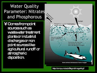 Comes from point sources such as wastewater treatment plants or industrial discharges or non point sources like agricultural runoff or atmospheric deposition. Water Quality Parameter: Nitrates and Phosphorous http://anmp.umd.edu/Bkgrnd/image44.gif 