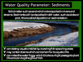 Water Quality Parameter: Sediments can destroy aquatic habitat by covering fish spawning areas  may contain toxins which can be harmful to aquatic life can make the water foggy which blocks sunlight passage to plant life and can clog the gills of fish Solid matter such as sand which is transported in rivers and streams. Sediments will be deposited in still water, such as a lake or pool; this is called deposition or sedimentation. © H. Verheul 